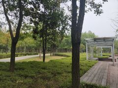 -洨河生态公园