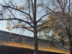 -成都市文殊院