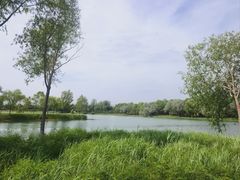 -香山公园