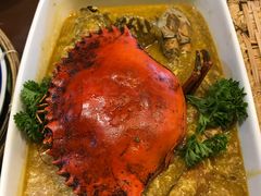 超级大的皮皮虾-茉莉.Red Crab