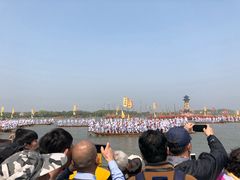 -溱湖国家湿地公园