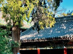 -窦大夫祠
