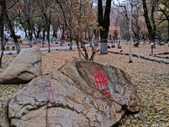 -黑龙江大学