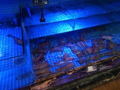 -渔民船说·北塘海鲜·天津菜·海肠捞饭(北塘古镇店)
