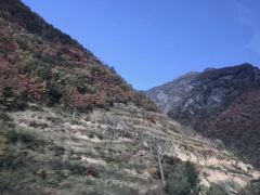 -秦岭风景区