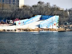 -大兴滨河森林公园