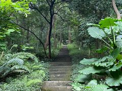 -广州市帽峰山景区