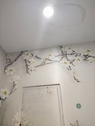 -苗苗清肤皮肤护理中心