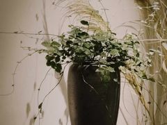 -时光花园(白鹭洲店)