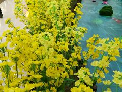 -万达广场(泰安泰山店)