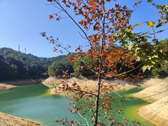 -广州市流溪河国家森林公园