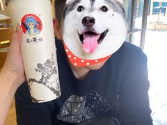 -霸王茶姬(南强街店)