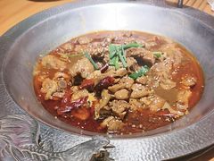 -成老灶火锅鸡(平山店)