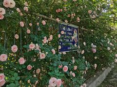 -太阳宫公园