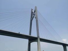 -招商蛇口邮轮母港(观光客运)