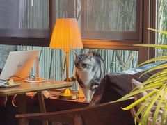 -咖法森林·咖啡  酒吧(天河店)