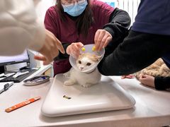 -中农大我爱我爱动物医院·核磁CT·猫病·24小时夜诊中心(石佛营店)