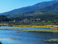 -腾冲北海湿地