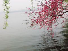 android_upload_pic-西湖天地