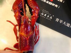 -西苑半岛·中餐厅