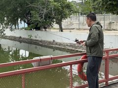 -向外鱼乐·土菜·虹鳟鱼