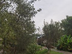 -南京老山国家森林公园