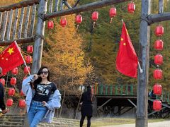 -苏木山森林公园