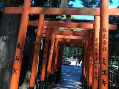 -上野公园花园稻荷神社(忍岡稲荷神社)