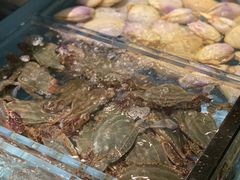 -尚海豆捞(乐虹坊店)