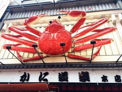 -蟹道乐(道顿堀本店)