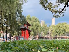 -四川大学(望江校区)