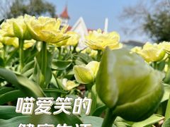 -玄武湖景区-情侣园游乐场