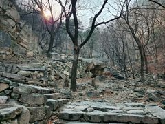 -北京鹫峰国家森林公园