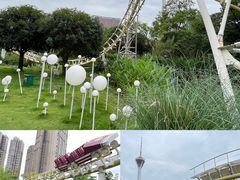-成都市活水公园