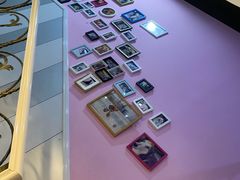 -哆趣宠物医院·眼科·内镜·急重症转诊中心(上海店)