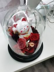 -联合丽格·张菡丽格医疗美容
