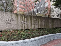 -黄桷坪涂鸦艺术街