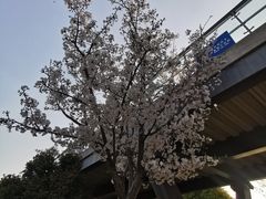 -秦皇岛路游船码头