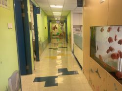 -杭州贝瑞斯美华妇儿医院·早孕·产检·儿科