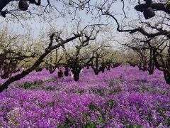 -江苏三台山国家森林公园
