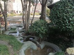 -活水公园