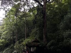-青城山