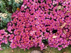 -共青国家森林公园-售票处