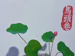 -马头巷·食景园(苏州总店)
