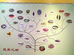 -上海昆虫博物馆