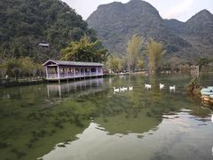 -靖西鹅泉风景区