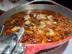 蜀龙阁水煮鱼-雲蜀龙阁·金牌水煮鱼(方庄店)