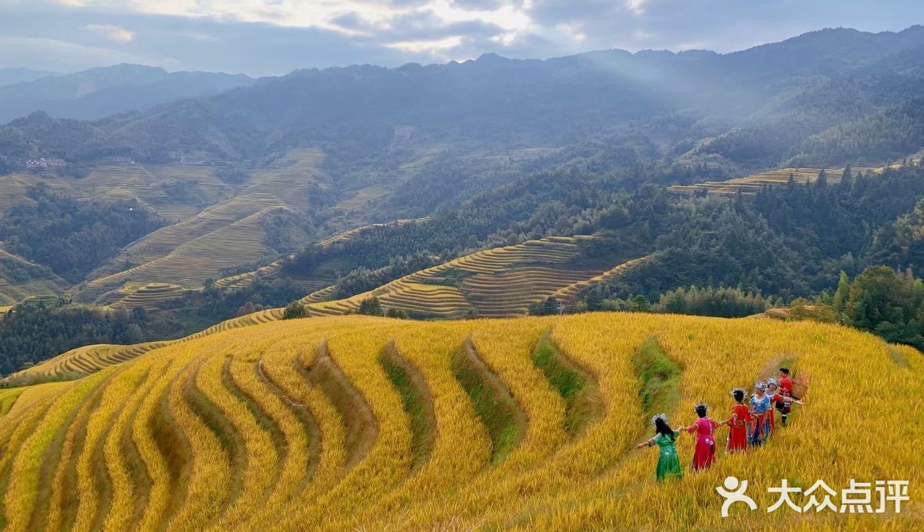 龙脊“梯田”带你感受大自然的馈赠🍃