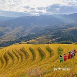龙脊“梯田”带你感受大自然的馈赠🍃