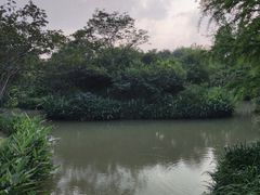 -绍兴镜湖国家城市湿地公园